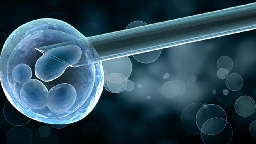 试管婴儿胚胎的等级是怎么划分的？