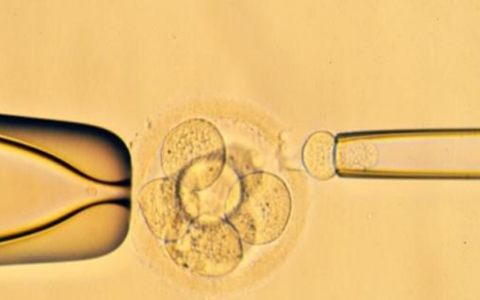 试管移植囊胚失败怎么办?