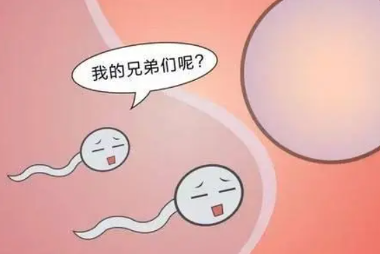 精子不完全液化影响生育吗?