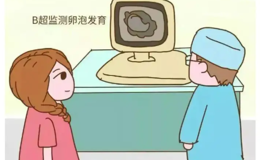 爱之晶：试管胚胎移植，这些方面可以提